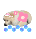 タロヨンVo.1（個別スタンプ：5）