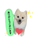 タロヨンVo.1（個別スタンプ：6）