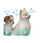 タロヨンVo.1（個別スタンプ：8）