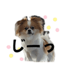 タロヨンVo.1（個別スタンプ：11）