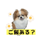 タロヨンVo.1（個別スタンプ：14）