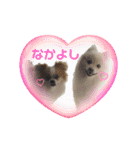 タロヨンVo.1（個別スタンプ：16）