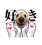 I'm カイル（個別スタンプ：3）