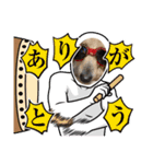 I'm カイル（個別スタンプ：7）