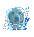 I'm カイル（個別スタンプ：11）