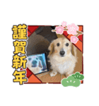 I'm カイル（個別スタンプ：16）