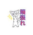 .ボールペンイラスト眼鏡のしま猫スタンプ.（個別スタンプ：20）