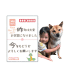小虎と愉快な仲間たち⭐︎（個別スタンプ：3）