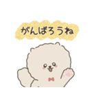 ふわふわしっぽのねこ（個別スタンプ：24）