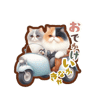 ねこづくし③（個別スタンプ：12）