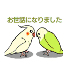 カラフルなセキセイインコの毎日スタンプ（個別スタンプ：32）