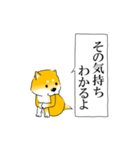 新・激しく尻尾をふる柴犬【毎日使える】（個別スタンプ：14）