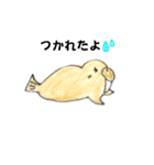 おもしろセイウチ（個別スタンプ：4）