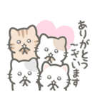 とにかく猫だらけ（個別スタンプ：10）