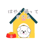 あにまるスタンプいろんなどうぶつさんたち（個別スタンプ：39）