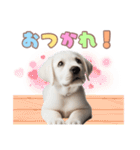 ラブラドールレトリバーの子犬スタンプ（個別スタンプ：6）