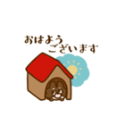チワワ毎日（個別スタンプ：1）