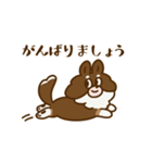 チワワ毎日（個別スタンプ：16）