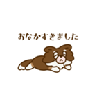 チワワ毎日（個別スタンプ：21）