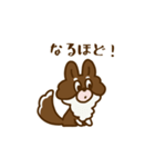 チワワ毎日（個別スタンプ：23）