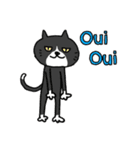 目つき悪めねこ フランス語（個別スタンプ：13）