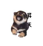 だいずのいる生活（個別スタンプ：2）