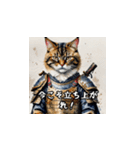 猫侍LINEスタンプ！（個別スタンプ：12）