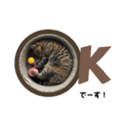 猫みーみ（個別スタンプ：9）