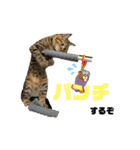 猫みーみ（個別スタンプ：10）
