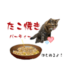 猫みーみ（個別スタンプ：26）
