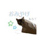 猫みーみ（個別スタンプ：32）