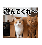 段ボール生活！猫のほっこりライフ（個別スタンプ：4）