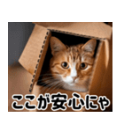 段ボール生活！猫のほっこりライフ（個別スタンプ：5）