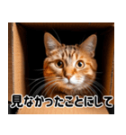 段ボール生活！猫のほっこりライフ（個別スタンプ：14）