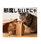 段ボール生活！猫のほっこりライフ（個別スタンプ：18）