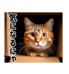 段ボール生活！猫のほっこりライフ（個別スタンプ：21）