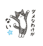 40匹のねこの、ゆるめにオッケー！（個別スタンプ：25）