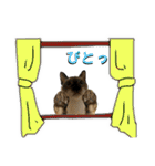 お酒とネコ好きな日常会話20（個別スタンプ：26）