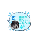 気持ちスタンプ 犬（個別スタンプ：5）