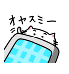 きもねこ in 山県2（個別スタンプ：3）