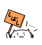 きもねこ in 山県2（個別スタンプ：7）