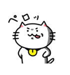 きもねこ in 山県2（個別スタンプ：9）