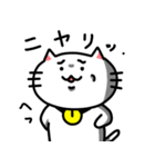 きもねこ in 山県2（個別スタンプ：18）