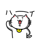 きもねこ in 山県2（個別スタンプ：29）