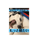 るめは今日も元気です（個別スタンプ：7）