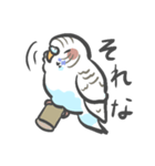 セキセイインコのぶぶ（個別スタンプ：7）