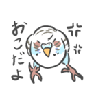 セキセイインコのぶぶ（個別スタンプ：14）