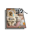 おこげりんと愉快な仲間たち（個別スタンプ：10）