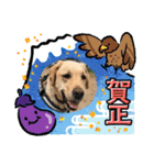ラブラドールのそらパートふぅあいぶ（個別スタンプ：3）