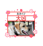 ラブラドールのそらパートふぅあいぶ（個別スタンプ：6）